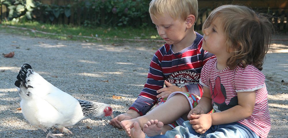 zwei Kinder sitzen vor einem Huhn
