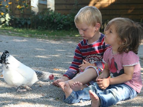 zwei Kinder sitzen vor einem Huhn