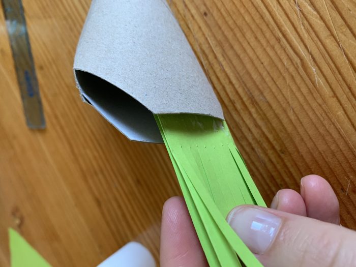 Grünes Papier wird in gefaltete Klopapierrolle geklebt